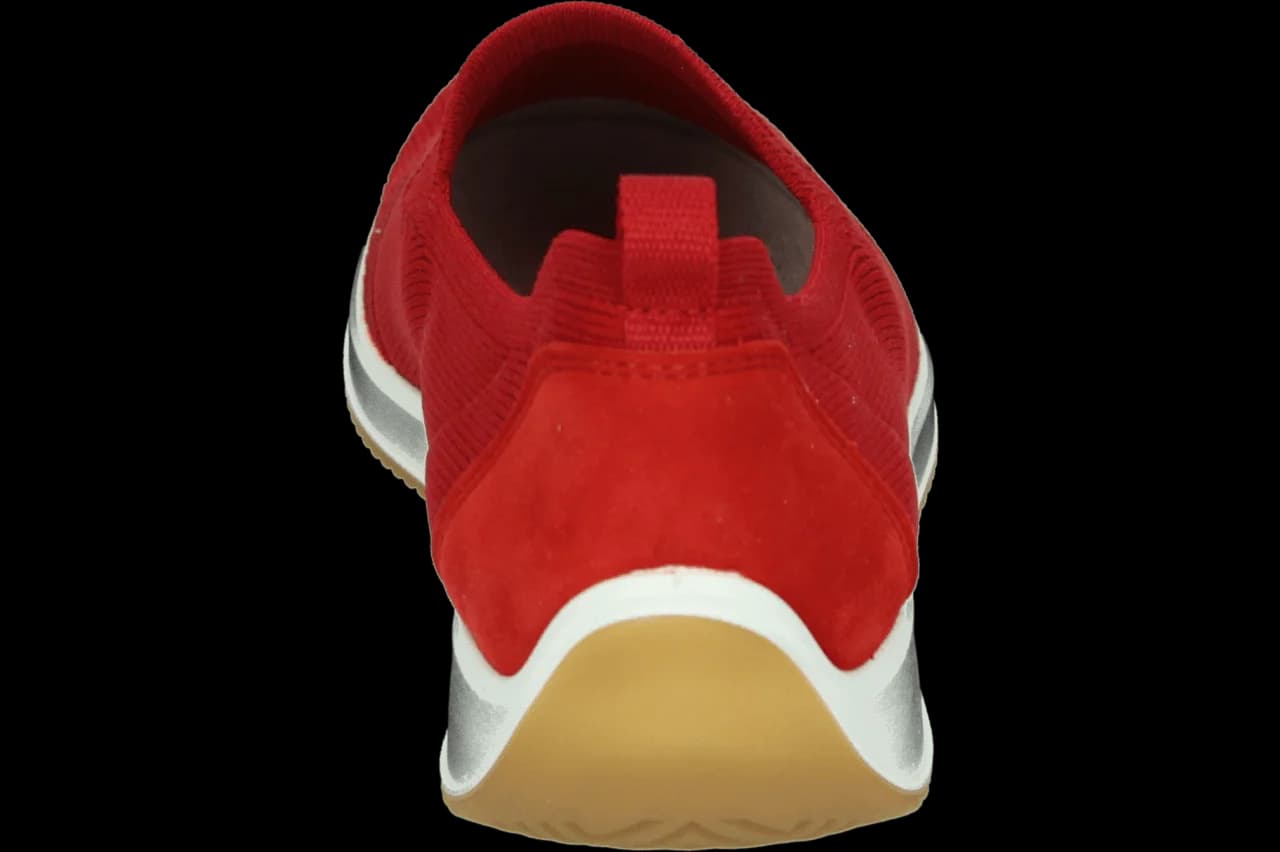 Ara 1254042 223.60.004