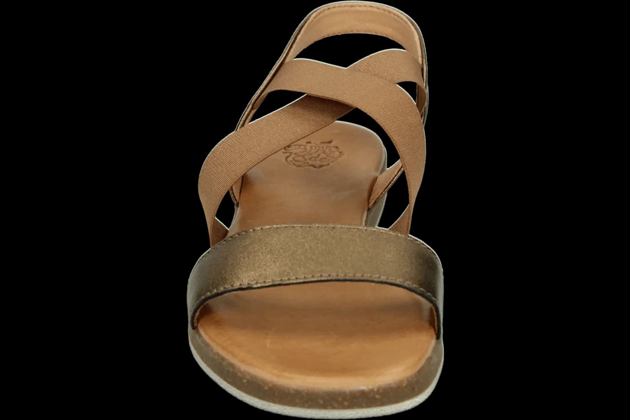 Apple of Eden IRIS 55 431.93.002