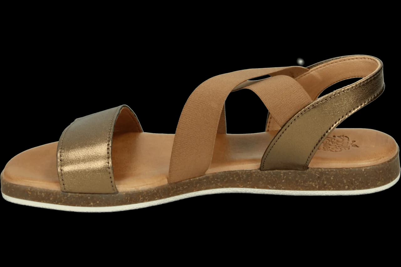 Apple of Eden IRIS 55 431.93.002
